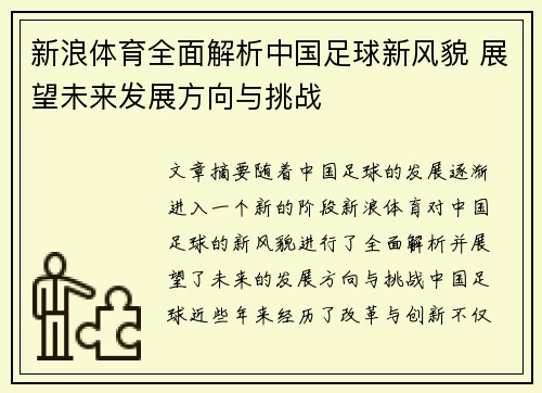 新浪体育全面解析中国足球新风貌 展望未来发展方向与挑战